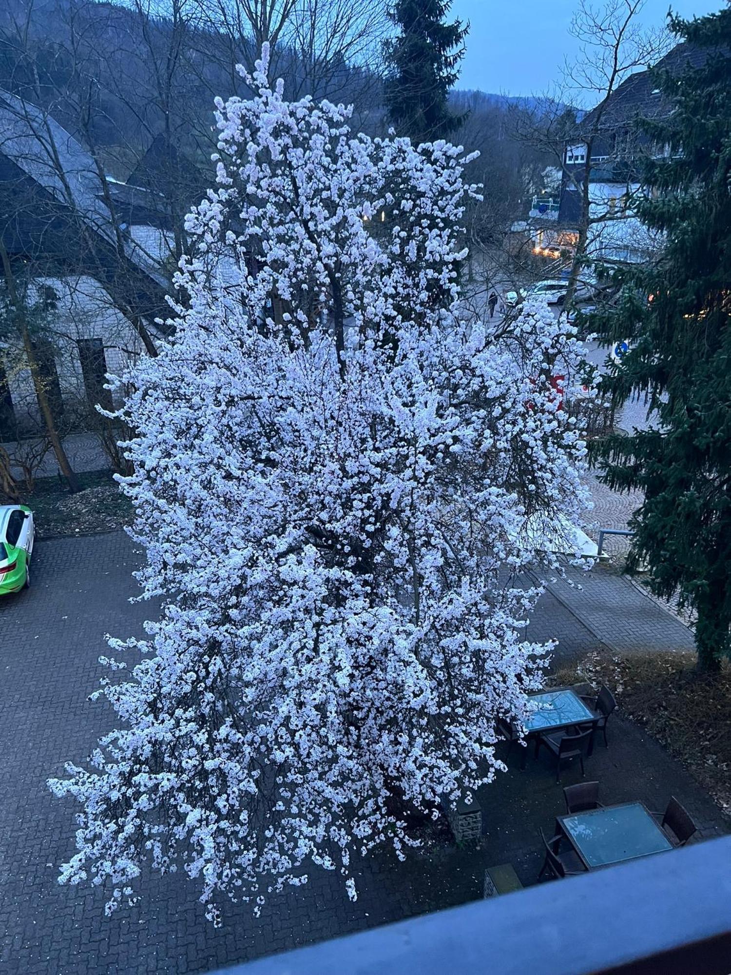 Hotel Wittgensteiner Hof Bad Laasphe Kültér fotó
